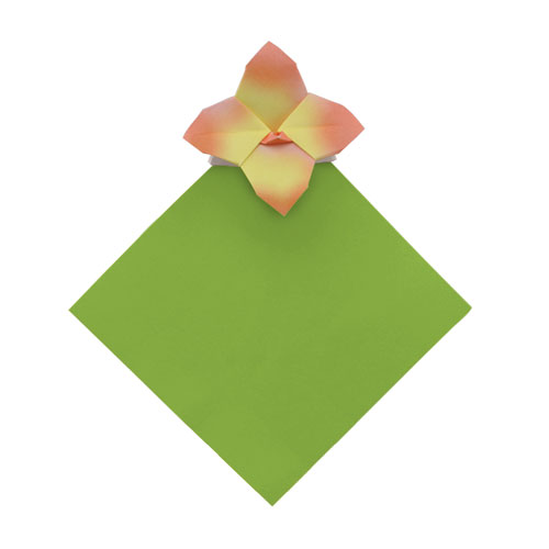 Orchid Paper Clip by Jannie van Schuylenburg